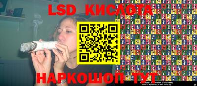 бошки Тверь