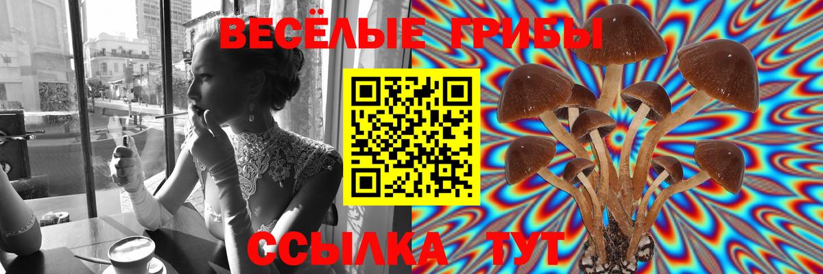 Галлюциногенные грибы мицелий Благодарный